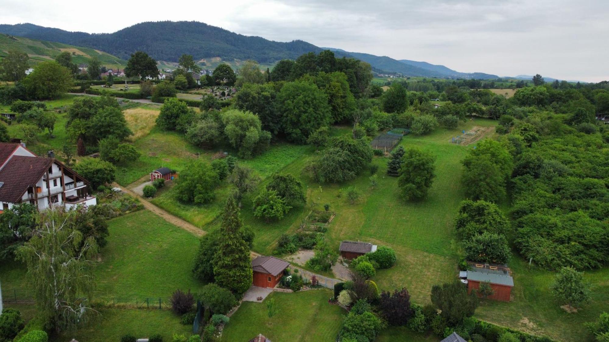 Ferienwohnung Herrnberg Baden-Baden Ngoại thất bức ảnh